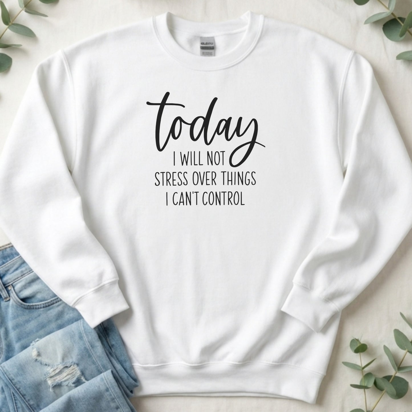 Today I Will Not Stress Over Things I Can't Control Sweatshirt