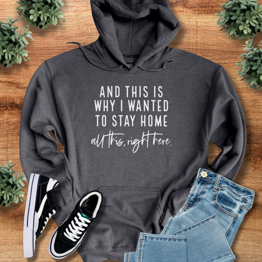 And This is Why I Wanted to Stay Home Hoodie