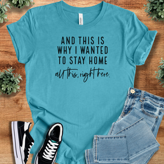 And This Is Why I Wanted To Stay Home T‑Shirt | Soft Bella+Canvas Tee